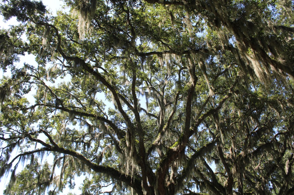 Beaufort (July 2025): Part Two