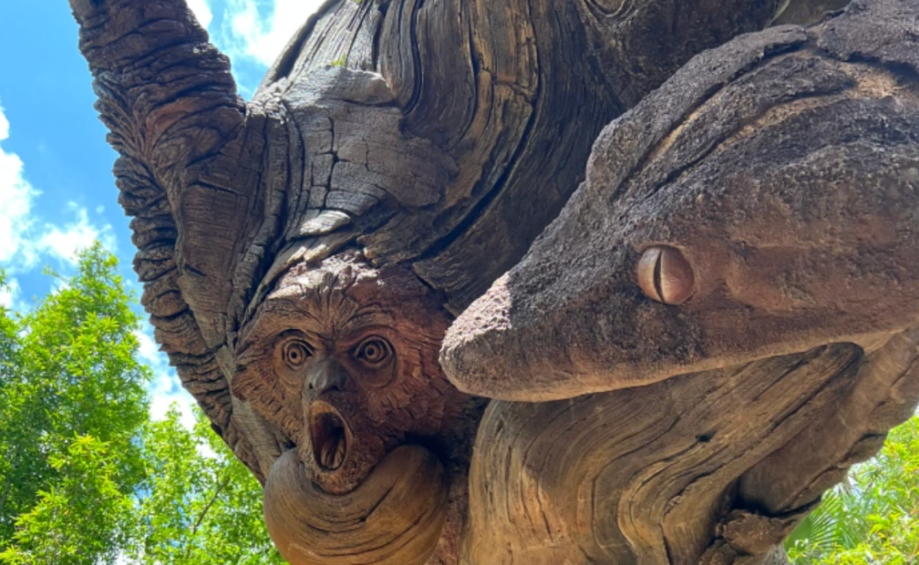 Animal Kingdom (June 2024)