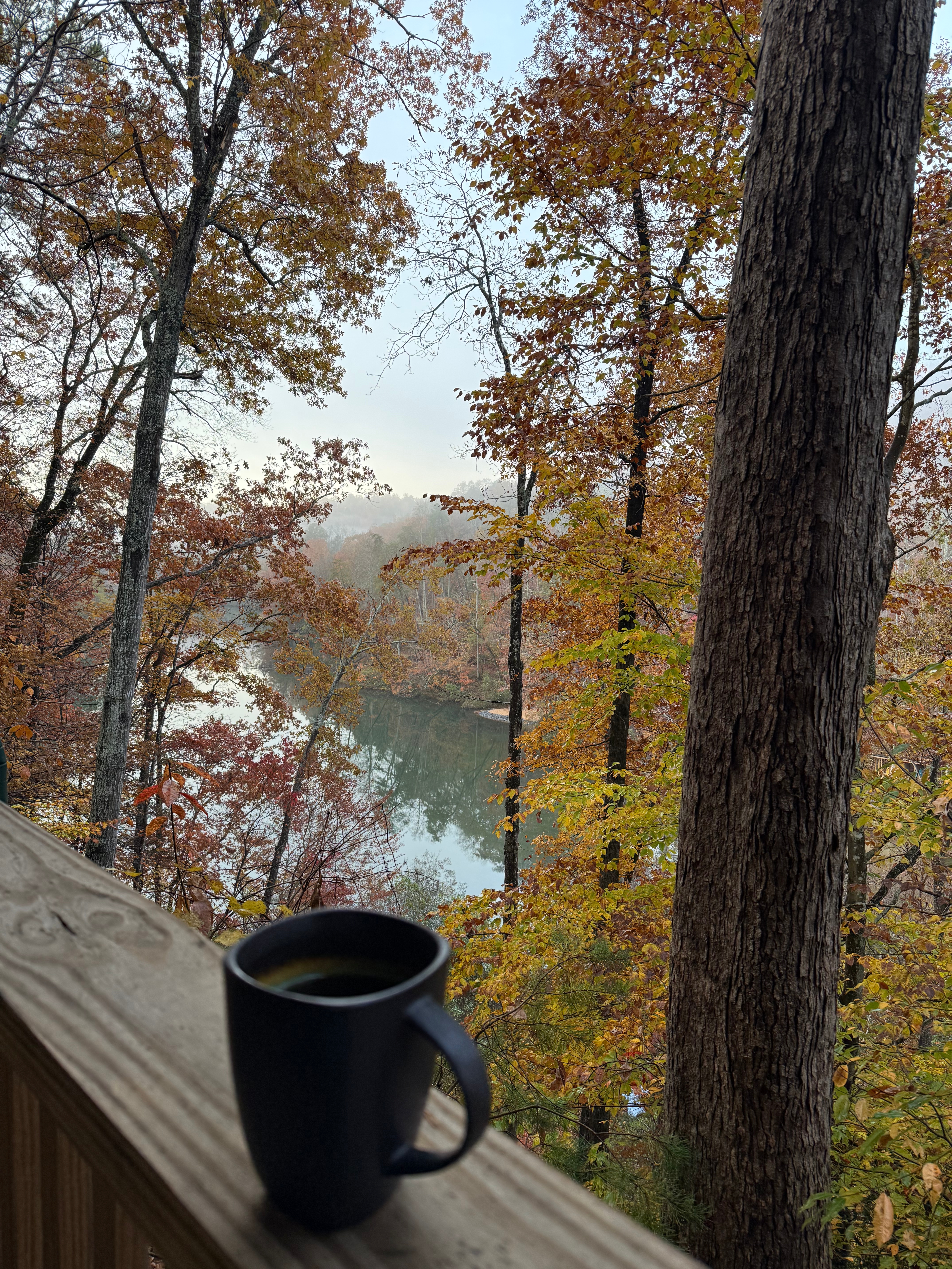 Chasing Peak Colors in Lake&nbsp;Lure
