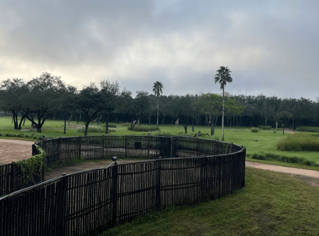 Magical Mini-Vacation (Animal Kingdom Lodge)